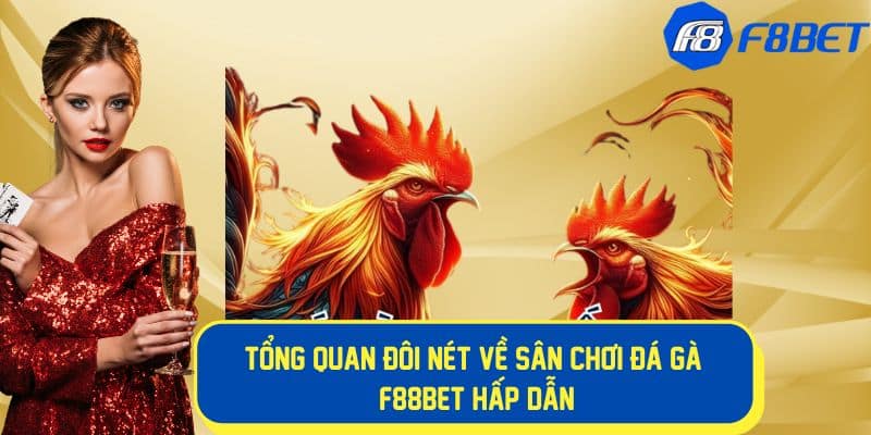 Sân chơi đá gà f8bet cực thú vị