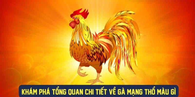 Gà mạng Thổ màu nâu là biểu tượng cho sự ổn định