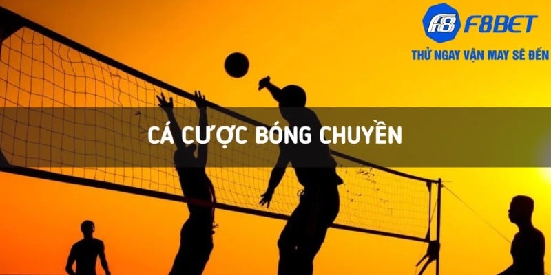 ca cuoc bong chuyen